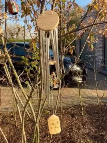 Afbeelding #1 van Jannie