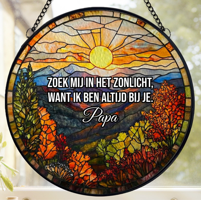 1x Zonnespiegel